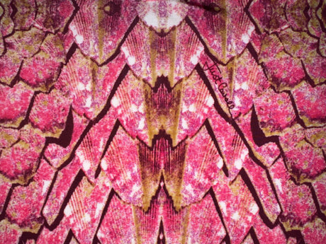 JUST CAVALLI Pink Snakeskin 3/4 Sleeve Top