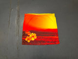 Sunset Print Mini Skirt