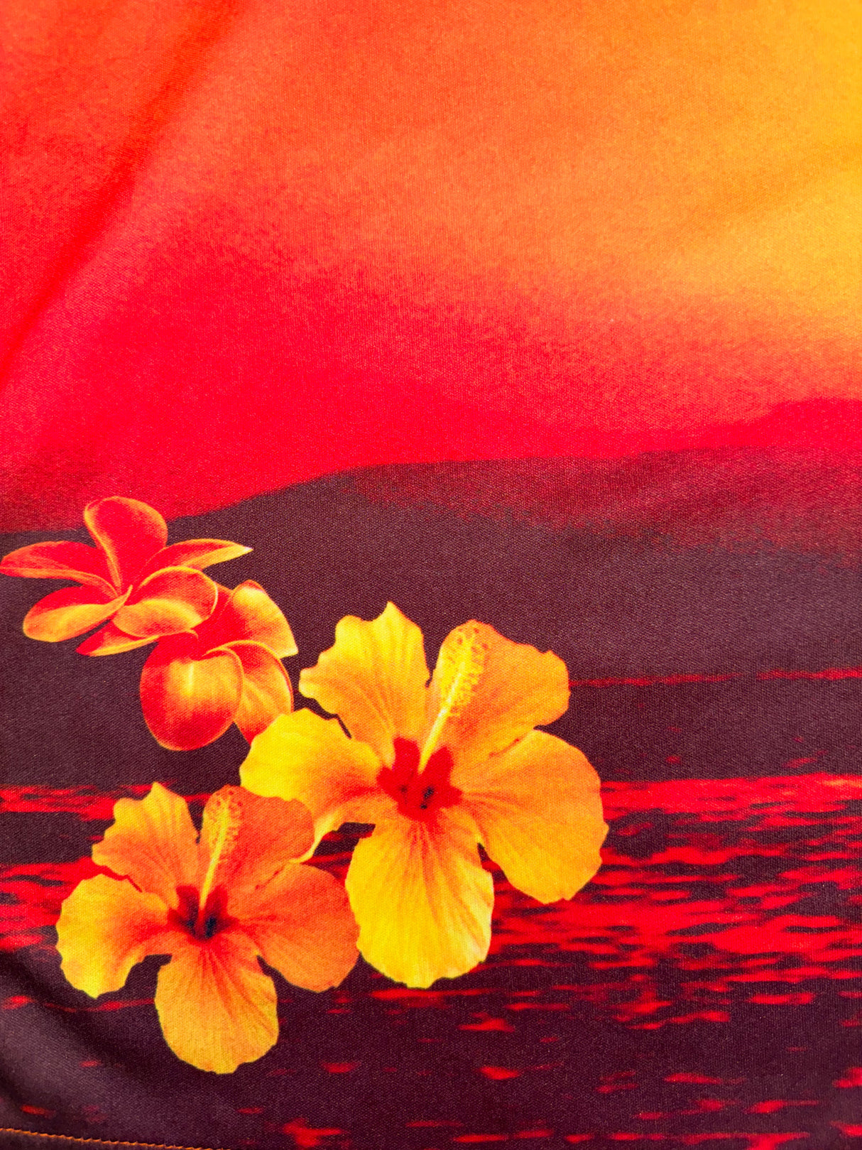 Sunset Print Mini Skirt