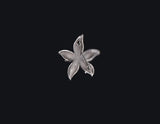 Silver Textured Starfish Pin