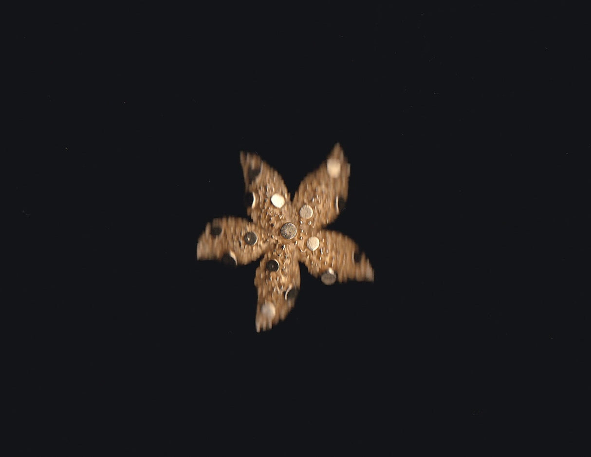 Gold Textured Starfish Pin
