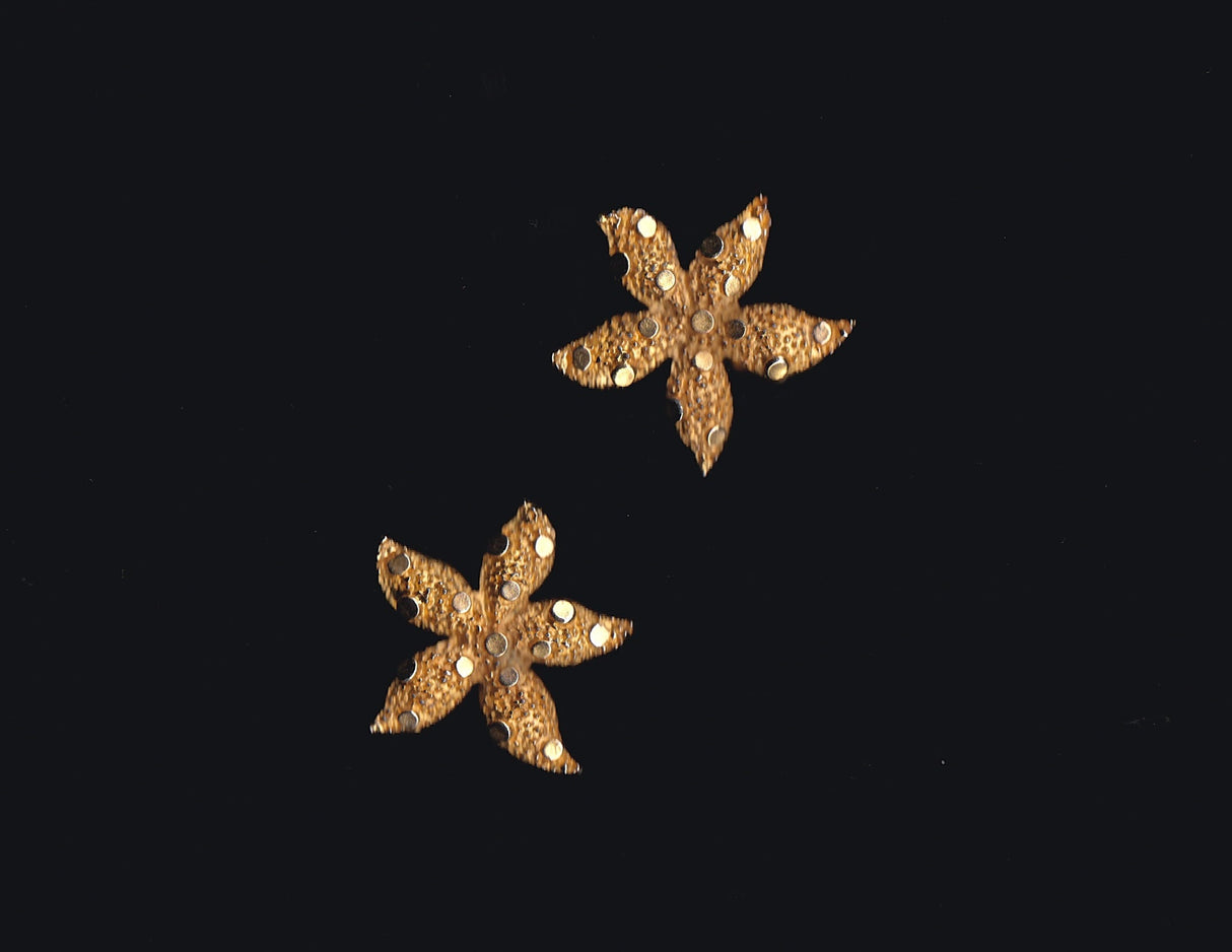 Gold Large Textured Starfish Clip On Earrings