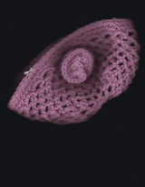 Pink Wool Crochet Skull Cap Beanie