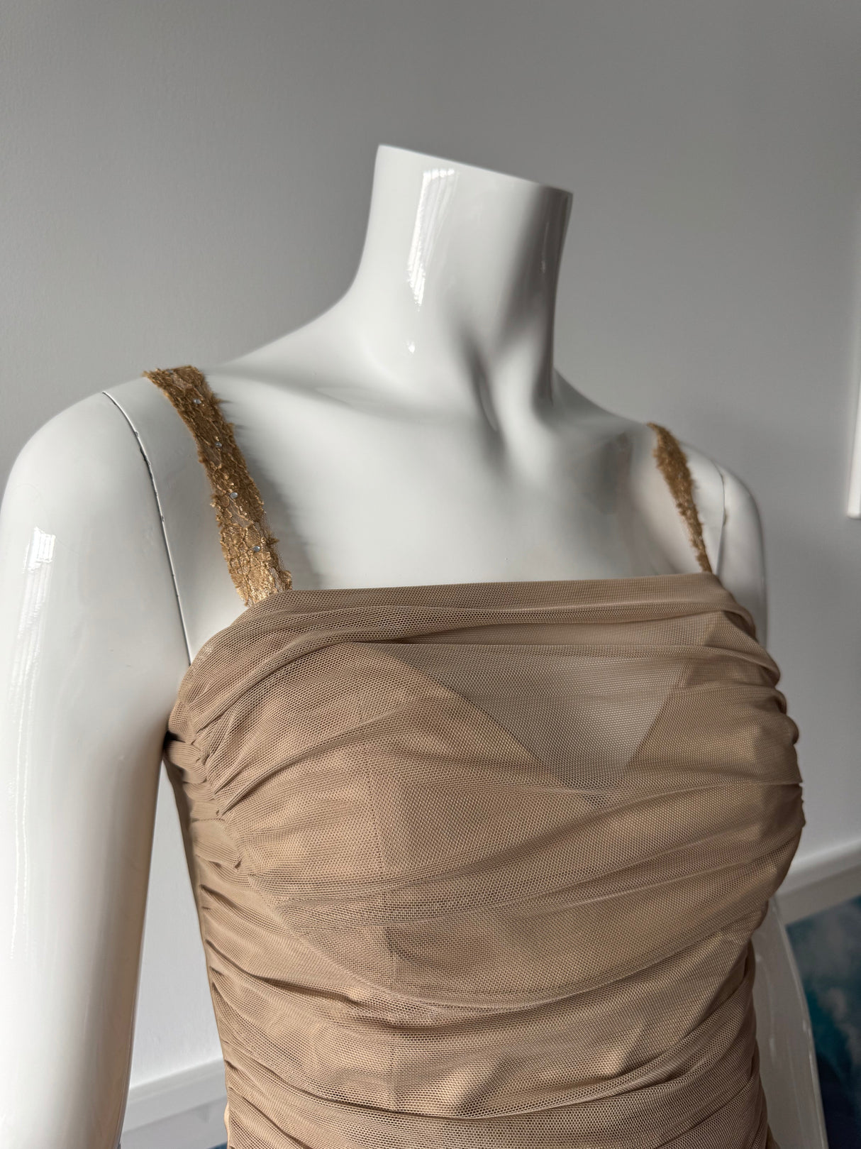 BCBG Beige Mesh Corset Top