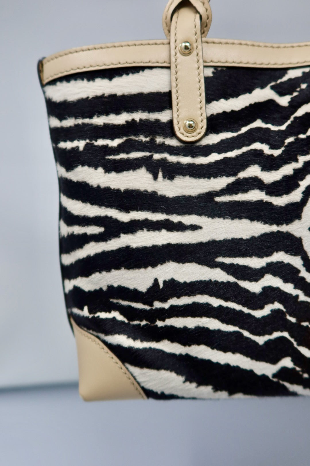 Gucci Calf Leather Tote Bag Zebra Pattern (Copy)