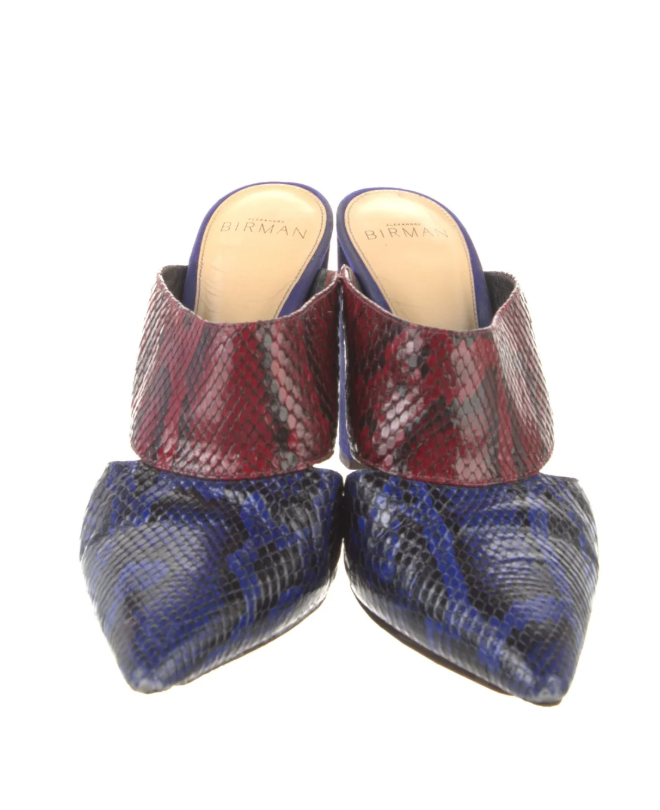 Alexandre Birman Color Block Mules