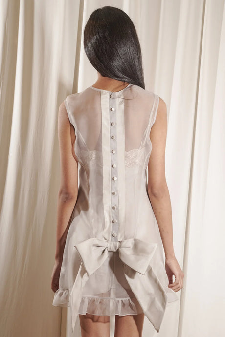 Luna Organza Dress