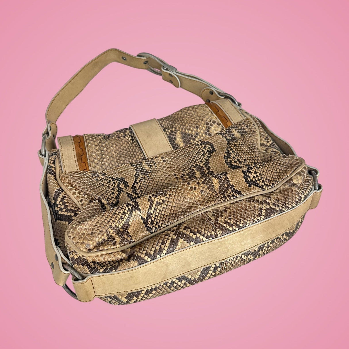 Dior Python Gaucho Bag