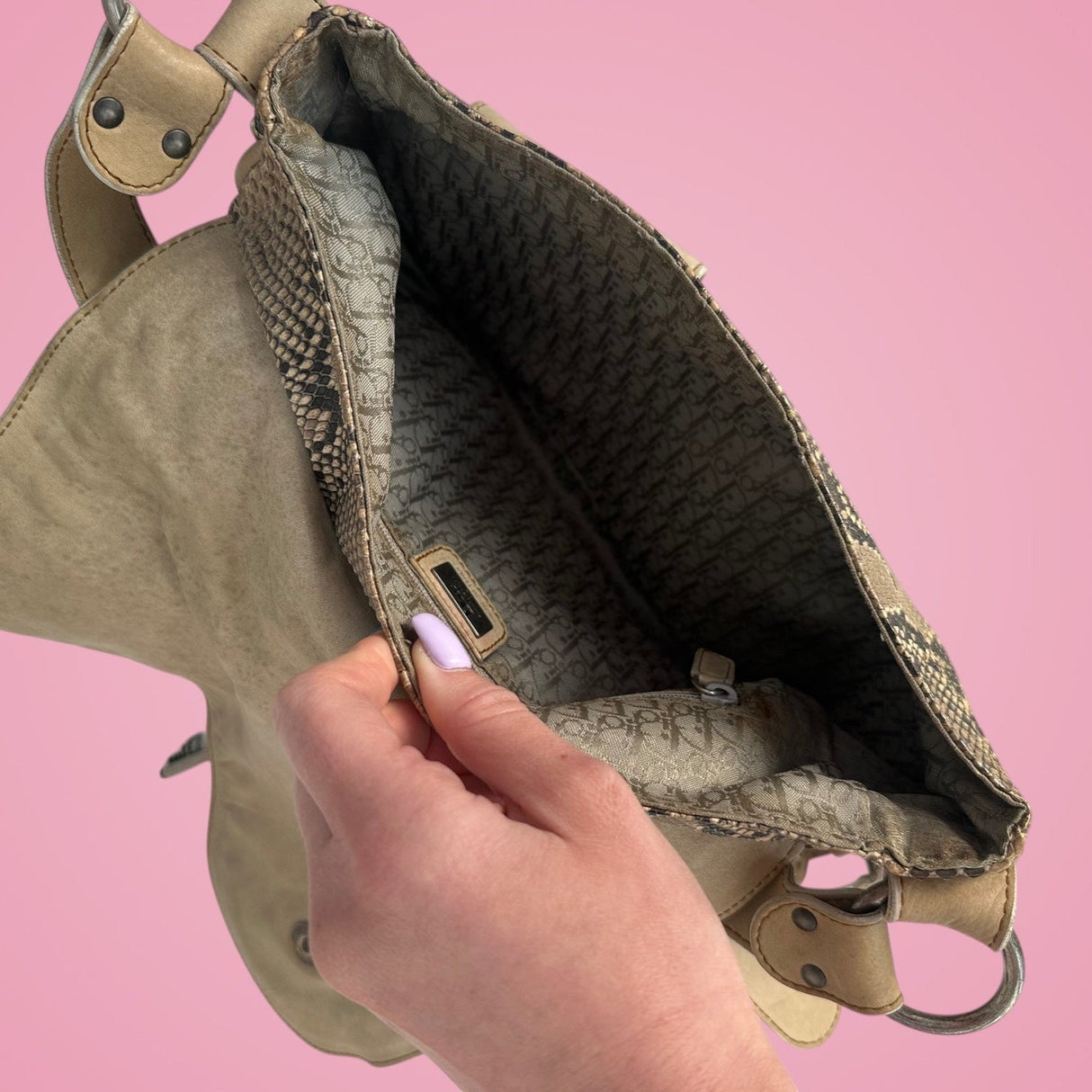 Dior Python Gaucho Bag