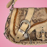 Dior Python Gaucho Bag