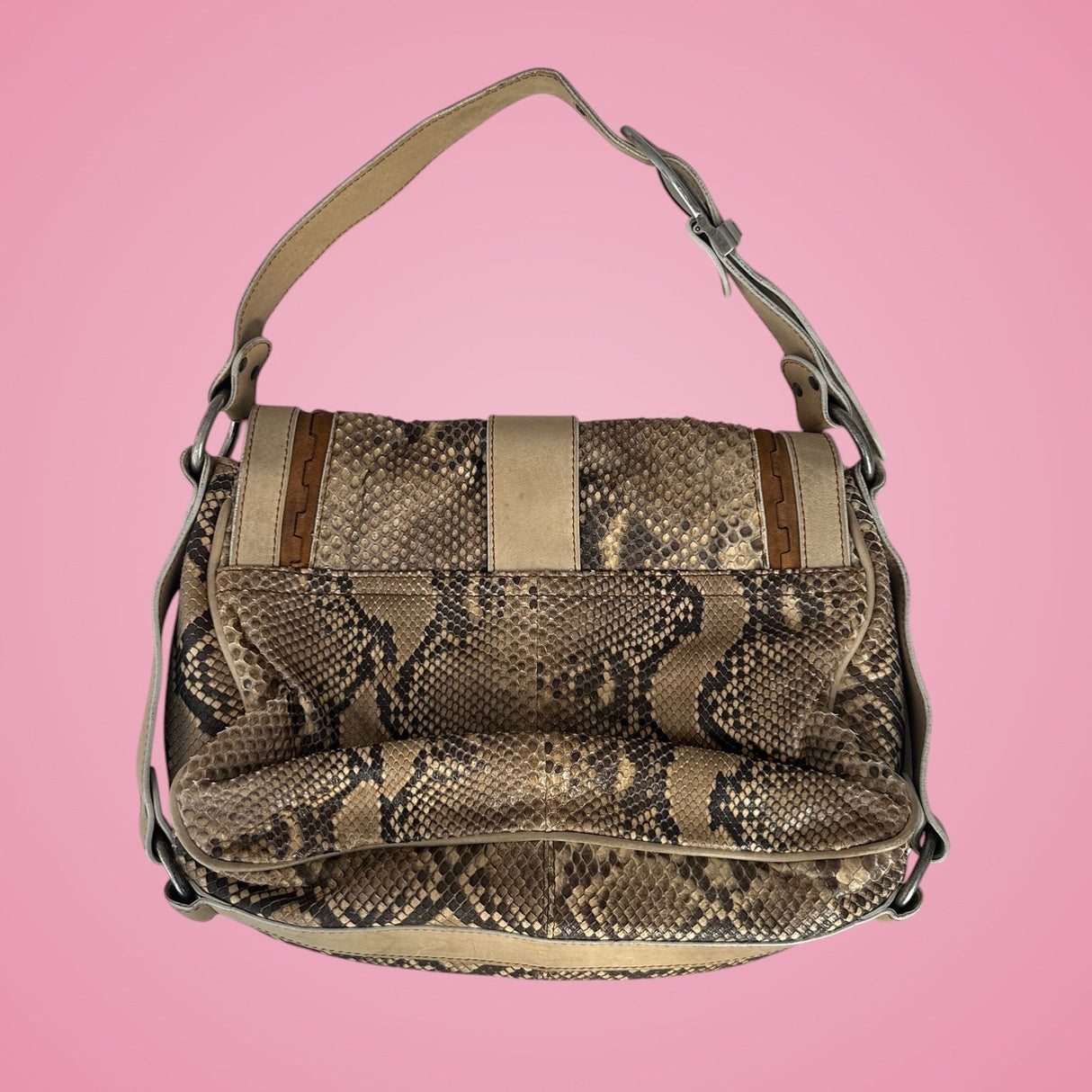 Dior Python Gaucho Bag
