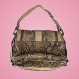 Dior Python Gaucho Bag