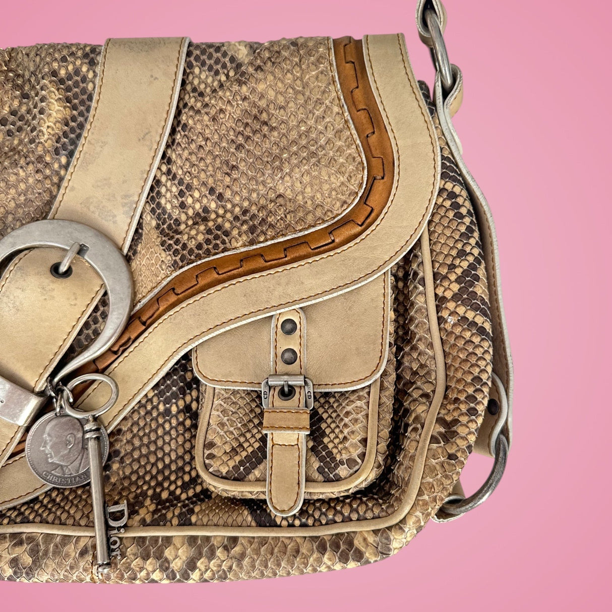 Dior Python Gaucho Bag