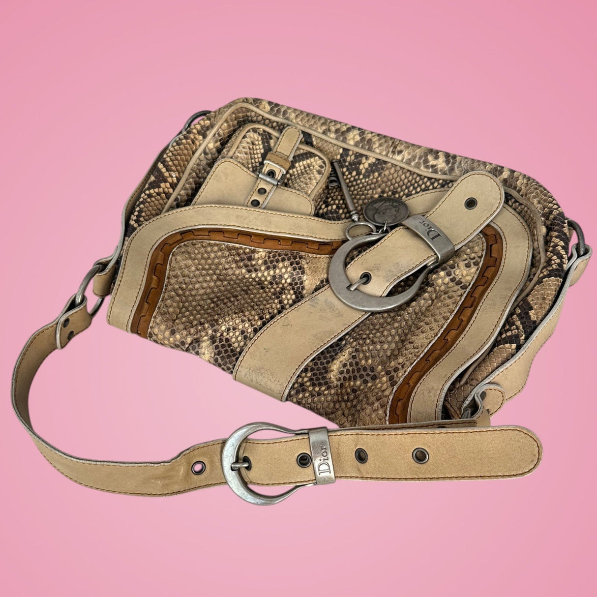 Dior Python Gaucho Bag